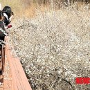 미선축산 이미지