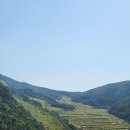 까뽀네 | ¡곤지암리조트 96시간 즐기기!