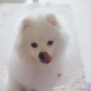 바른뉴트리션