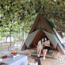 쌍류포도정원협동조합 이미지