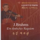 제51회정기연주회 Daum카페