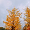 승승농장 이미지