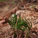 이화 행정사 사무소 이미지