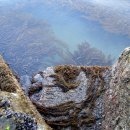 고성자연사박물관 이미지