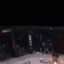 킹덤태권도 이미지