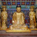 보물이네 이미지