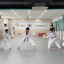 금태회금메달태권도