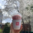 오라카이 대학로 호텔 | 오라카이 대학로 호텔 왕추천 후기 | 서울 종로5가 주변 | 주차장, 조식 | 한줄평: 흠잡을 곳 없다!