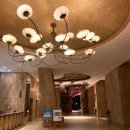 맹그로브 짐 | 하이난 호텔 맹그로브 리조트 카폭타워 가족 자유여행 가성비