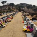 신세계장묘