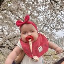 텐퍼센트풍암운리점 | 6개월 육아일기Week29(199일~205일) 변비/200일/2차영유아검진/하윤이첫돌