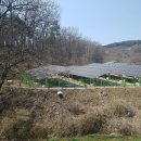 영롱태양광발전소 이미지