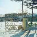 남면 양덕분교초등학교 이미지