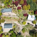 극락정사 아미타여래회도 이미지