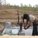 노란코끼리 이미지