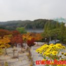 동백호수공원(광장) 이미지