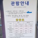 목포어린이바다과학관 | 목포 가볼만한곳] 아이와 함께 다녀온 목포어린이바다과학관, 솔직 담백 방문 후기! (기대 반, 아쉬움 반?)