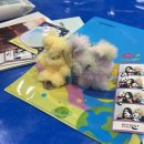 타코랜드 문산점 | 6