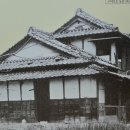 용교 농장 네이버블로그