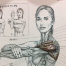 아일랜드짐 이미지