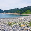 안도웰빙체험장(안도마을) 이미지