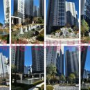 데시앙해링턴 이미지