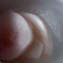 유명갈매기 이미지