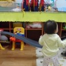 세나세라 이미지