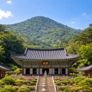 덕산버스터미널 | 덕산 세심천 온천 호텔 완벽 가이드 예산 온천 여행 추천