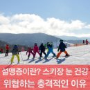 설원태양광 이미지