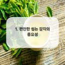 수성아이비치과의원 네이버블로그
