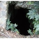 전원새움어린이집 이미지