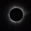 도원일식 이미지