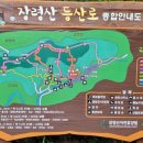 다래와 잣나무 네이버블로그