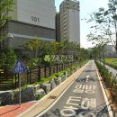 당미5길 Daum카페