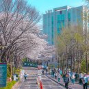 서강대학교 국제대학원 이미지