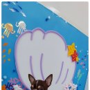 굿데이멍 이미지