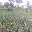 학선농장 이미지