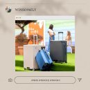 그레이PC | 레븐 64cm 여행용캐리어 실버그레이 사용후기 추천