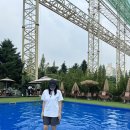 메디코니 | 2025 8월 갇혀있는 여름