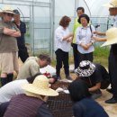 승지축산 이미지