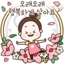 대구남구시니어클럽해피데이꽃집 | 노인일자리를 찾아서- 대구 남구시니어클럽 시장형 '해피데이꽃집'