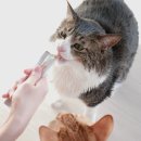 고양이 간식 추천: 고등어와 알로에가 담긴 영양 만점 츄르, 맛난 먹방