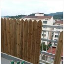 태풍건업 이미지