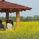 주안행정사 이미지