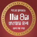 오늘의 운세 --- 2025년 11월 8일(음력 9월 19일) 辛巳 토요일 이미지