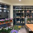 더블엠(MM) 이미지