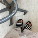 동수원병원 | 동수원병원 맹장염 수술 후기