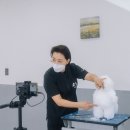 오드리펫 이미지