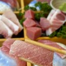 참치공방정다운지점 | 종각 회식장소 추천, 참치공방 정다운점 스페셜 무한리필 코스 솔직 후기 (룸 완비)